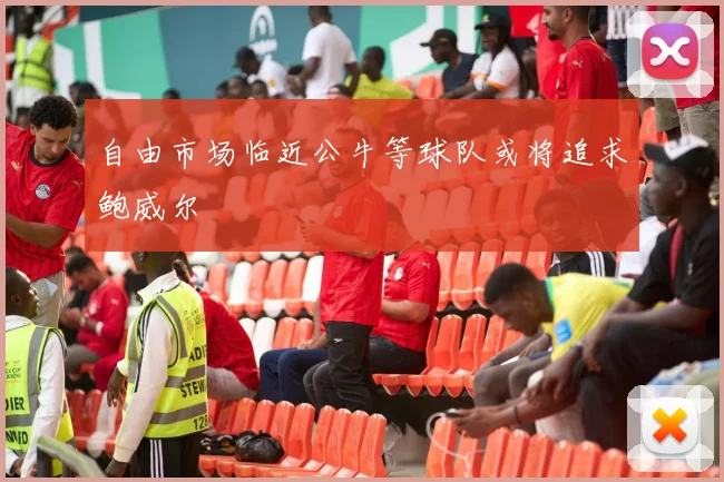 自由市场临近公牛等球队或将追求鲍威尔